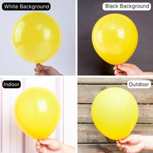 Load image into Gallery viewer, PartyWoo Yellow Balloons 100 pcs Different Sizes of 36 18 12 10 5 Inch Matte Light Yellow Latex Balloon Arch Kit Garland for Easter Bee Baby Shower Sunflower Birthday Graduation Decorations Yellow-Y55

