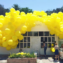 Load image into Gallery viewer, PartyWoo Yellow Balloons 100 pcs Different Sizes of 36 18 12 10 5 Inch Matte Light Yellow Latex Balloon Arch Kit Garland for Easter Bee Baby Shower Sunflower Birthday Graduation Decorations Yellow-Y55
